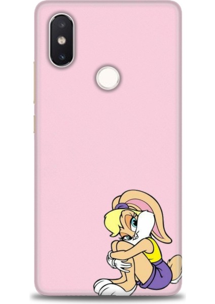 Xiaomi Mi 8 Se Kılıf Hd Baskılı Kılıf + Seramik Tam Kaplayan Ekran Koruyucu 409