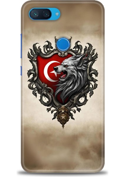 Xiaomi Mi 8 Lite Kılıf Hd Baskılı Kılıf + Seramik Tam Kaplayan Ekran Koruyucu 461