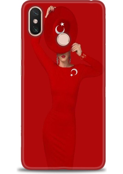 Xiaomi Mi Max 3 Kılıf Hd Baskılı Kılıf + Seramik Tam Kaplayan Ekran Koruyucu 241