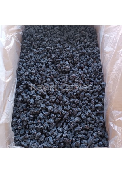 Toptan Doğal Lüks Malatya Kan Üzümü 10 kg