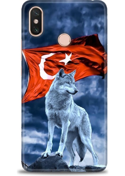 Xiaomi Mi Max 3 Kılıf Hd Baskılı Kılıf + Seramik Tam Kaplayan Ekran Koruyucu 36