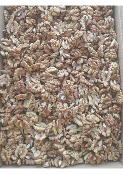 Toptan Ithal Kelebek Ceviz Içi 10 kg fırsatları