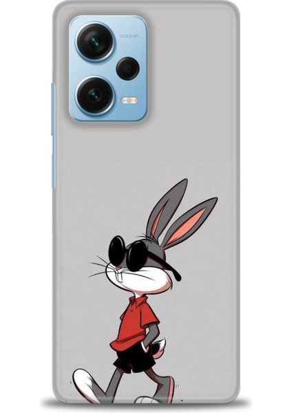 Xiaomi Redmi Note 12 Pro Plus Hd Baskılı Kılıf + Seramik Tam Kaplayan Ekran Koruyucu 403