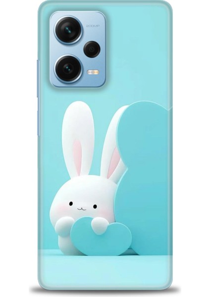 Xiaomi Redmi Note 12 Pro Plus Hd Baskılı Kılıf + Seramik Tam Kaplayan Ekran Koruyucu 73
