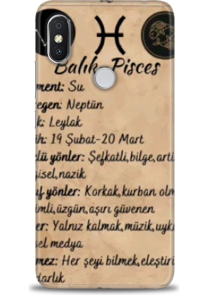 Xiaomi Redmi Note 6 Pro Hd Baskılı Kılıf + Seramik Tam Kaplayan Ekran Koruyucu 473