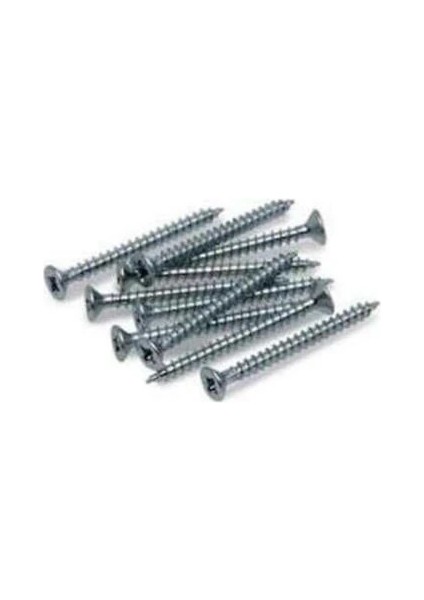 Sunta Vidası 3,0X16 Çinko 100 Adet