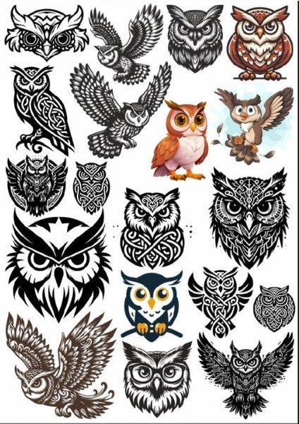 Baykuş Sticker Set