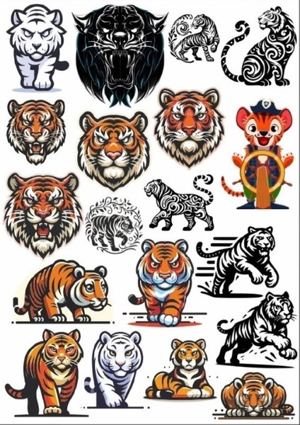 Kaplan Sticker Set 2