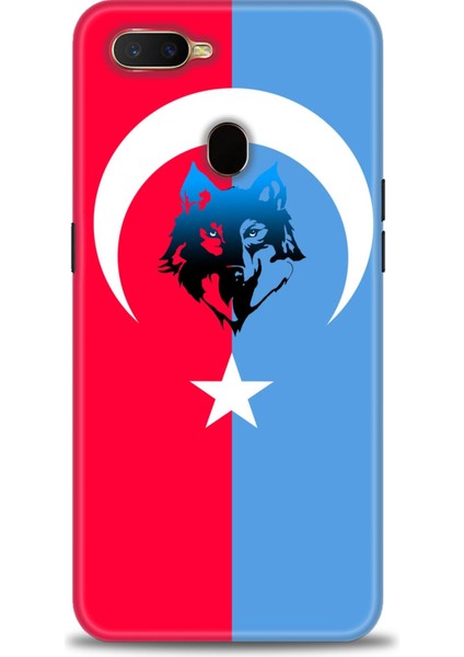 Oppo A12 Kılıf Hd Baskılı Kılıf + Seramik Tam Kaplayan Ekran Koruyucu 462