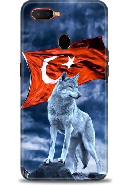 Oppo A5S Kılıf Hd Baskılı Kılıf + Seramik Tam Kaplayan Ekran Koruyucu 36