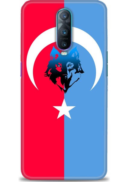 Oppo RX17 Pro Kılıf Hd Baskılı Kılıf + Seramik Tam Kaplayan Ekran Koruyucu 462