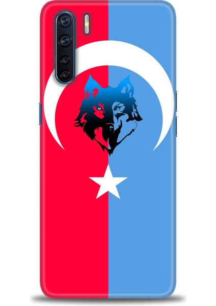Oppo A91 Kılıf Hd Baskılı Kılıf + Seramik Tam Kaplayan Ekran Koruyucu 462