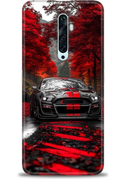 Oppo Reno 2z Kılıf Hd Baskılı Kılıf + Seramik Tam Kaplayan Ekran Koruyucu 490