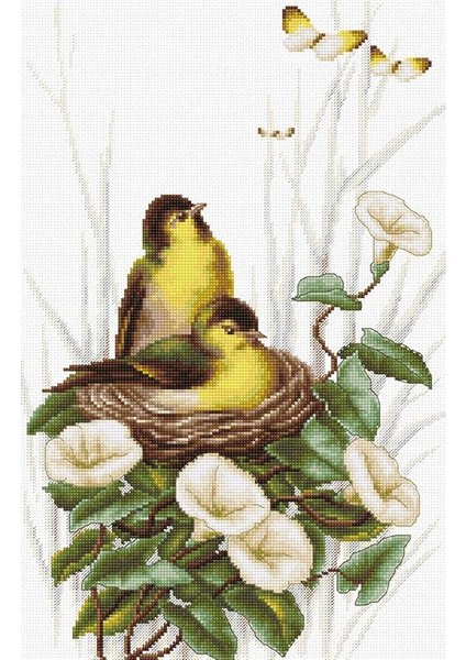 Kanaviçe Etamin Kiti (Iplik, Iğne, Kumaş) 20*31,5 cm B2240