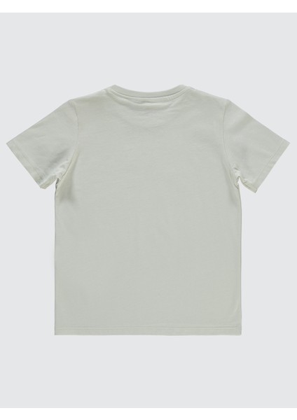 Erkek Çocuk Tişört 6-9 Yaş Saks fiyatları