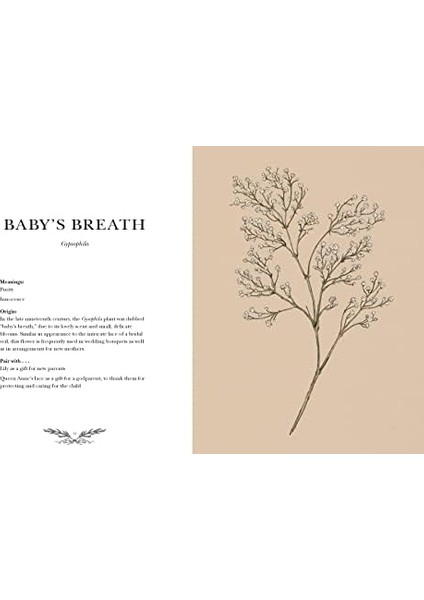 An Illustrated Guide To The Victorian Language Of Flowers: An Illustrated Guide To The Victorian Language Of Flowers Volume 1 modelleri