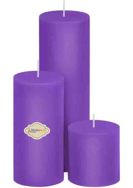 Iv Blue Purple Homedecor Purple Mor 3 Lü Set Mum