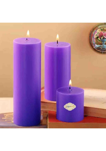 Iv Blue Purple Homedecor Purple Mor 3 Lü Set Mum