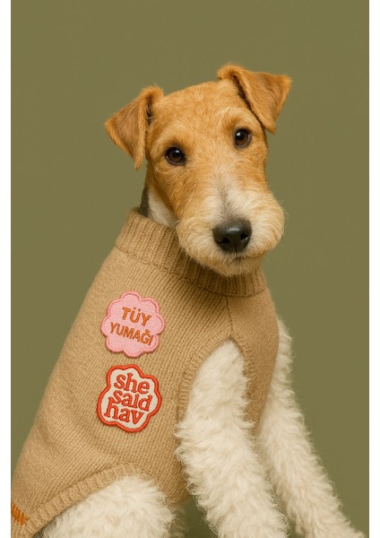 Çorap Hırsızı Köpek Arması - Bandana, Kıyafet ve Çantalar Için Ütüyle Yapışan Şık Tasarım