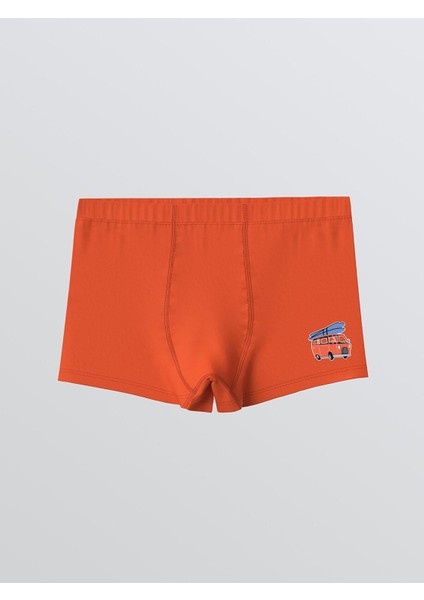 Lcw Kids Baskılı Erkek Çocuk Boxer 3'lü (S5) fırsatları