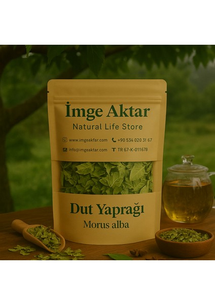 Dut Yaprağı 25G