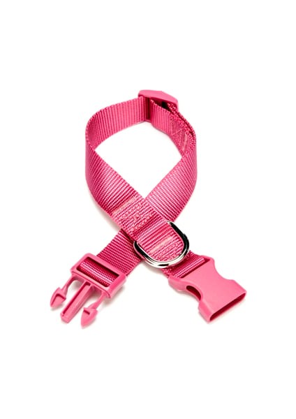 Hsyn Dokuma Köpek Boyun Tasması 2 cm x 30-45 cm Mor Akdenizpos Yeni