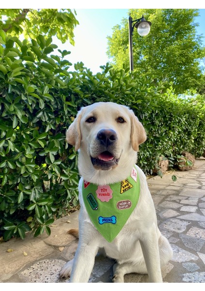 Prens Köpek Arması - Bandana, Kıyafet ve Çantalar Için Şık ve Zarif Ütüyle Yapışan Arma