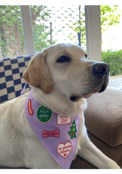 She Said Hav Köpek Arması - Bandana, Kıyafet ve Çantalara Uygun Eğlenceli Ütüyle Yapışan Arma