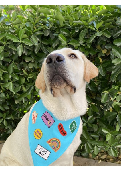 Su Kuşu Köpek Arması - Su Aşığı Köpekler Için Bandana, Kıyafet ve Çantalar Için Ütüyle Yapışan Arma
