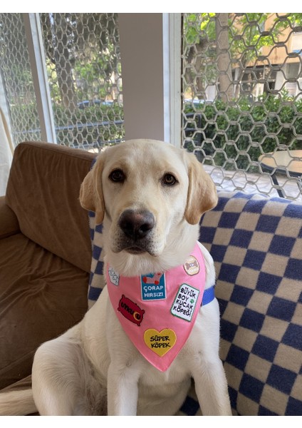 Su Kuşu Köpek Arması - Su Aşığı Köpekler Için Bandana, Kıyafet ve Çantalar Için Ütüyle Yapışan Arma