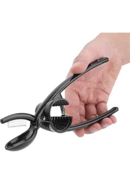 2'si 1 Arada Kestane Çizici ve Ceviz Kıracağı fırsatları