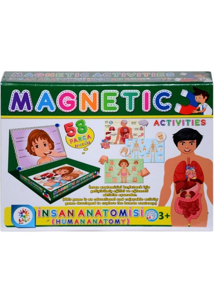Kampanya Estevia LC7171 Laço, Laço, Manyetik Aktiviteler - Insan Anatomisi / +3 Yaş Yeni!!!