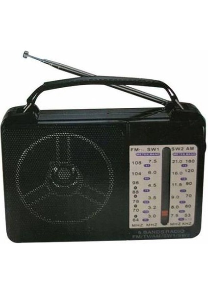 Fm-Am-Sw Dünya Radyo RT-1218