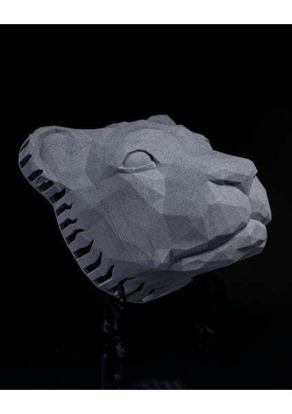 Aslan Başı Duvar Lambası – LED Aydınlatmalı 3D Duvar Dekoru fiyatları