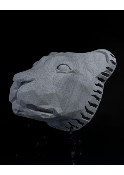 Aslan Başı Duvar Lambası – LED Aydınlatmalı 3D Duvar Dekoru modelleri