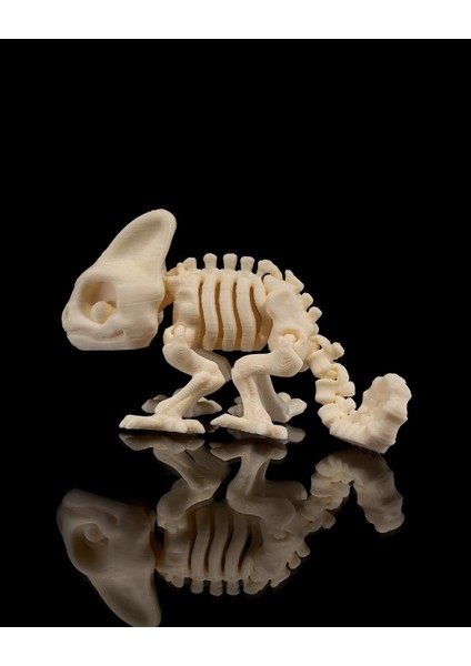 Hareketli Bukalemun Iskeleti Oyuncak fiyatları