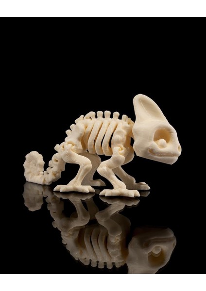 Hareketli Bukalemun Iskeleti Oyuncak modelleri