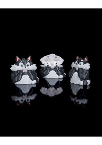 Punkitty Airpods Kılıfı