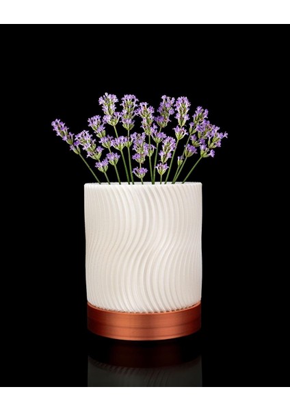 Greennest Mini Duvar Saksısı Sukulent Dekoratif Duvar Saksısı