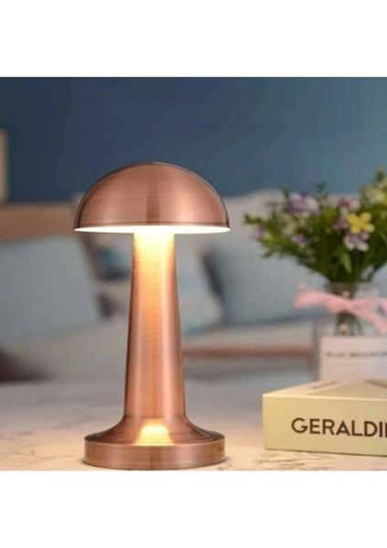 Şarjlı Ledli Lizbon Masa Lambası 3 Renk Işık Abajur