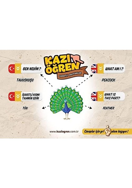 Öğren Deniz Hayvanları ve Kanatlı Hayvanlar Ingilizce Türkçe Eğitim Kartları Egzersizleri