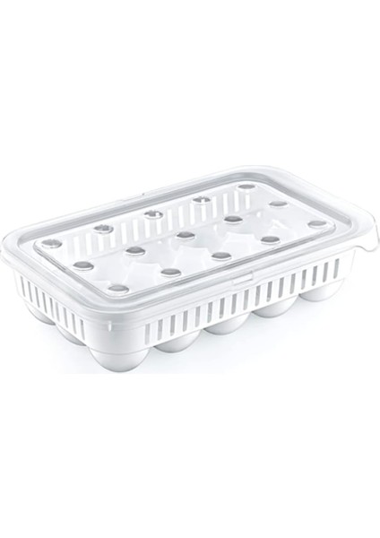 Home MTF.04275.00 15 Bölmeli Plastik Kapaklı Yumurta Saklama Kutusu Düzenleyici Yumurta Saklama Kabı, Standart, Medium