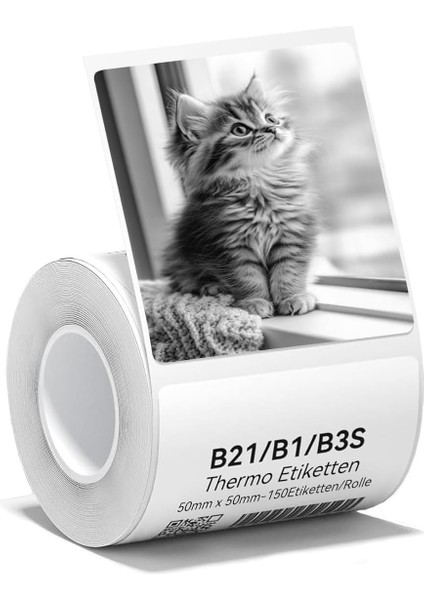 1 x Etiket B1 B21 B3S Etiket Yazıcısı ile Uyumlu, 50 x 50 mm Etiket Kağıdı, Beyaz Etiket Kağıdı Üzerine Siyah Baskı, Rulo Başına 150 Etiket (Beyaz)