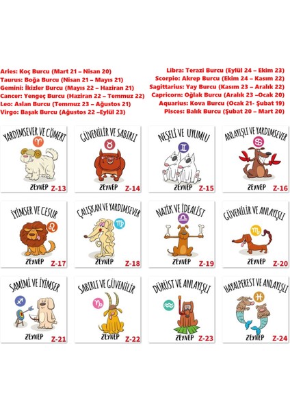 Doğum Günü Burç Temalı Kutular, Doğum Günü Hediyeleri Z1 Serisi modelleri