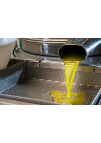 5lt. Natural Sızma Taş Baskı Soğuk Sıkım 0.3 Asit Zeytinyağı