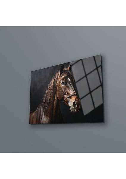 At Cam Duvar Tablosu , Panoromik Duvar Dekoru , Temperli Cam Üzeri Baskı , Yüksek Kalite