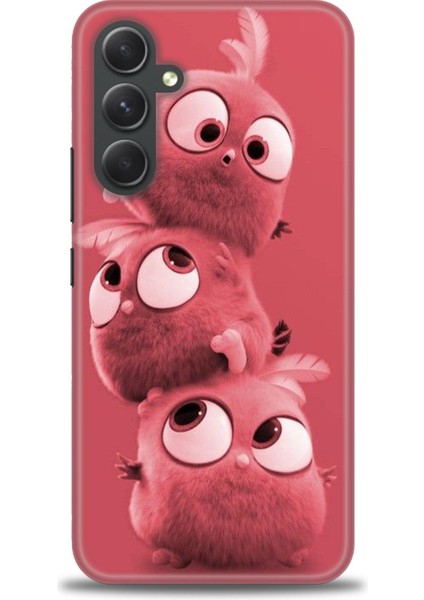 Samsung Galaxy A54 Hd Baskılı Kılıf + Seramik Tam Kaplayan Ekran Koruyucu 370