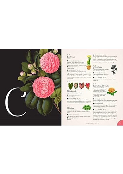 Complete Language Of Flowers: A Definitive And Illustrated History: Volume 3