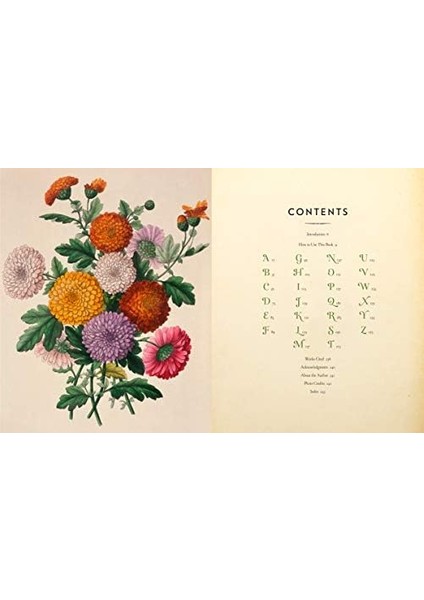 Complete Language Of Flowers: A Definitive And Illustrated History: Volume 3
