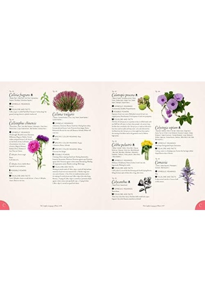 Complete Language Of Flowers: A Definitive And Illustrated History: Volume 3